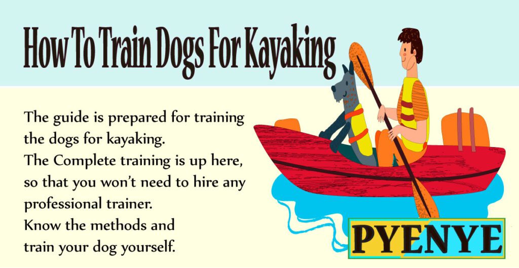 How to train dog for kayaking