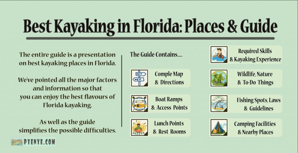 Best Kayaking in Florida