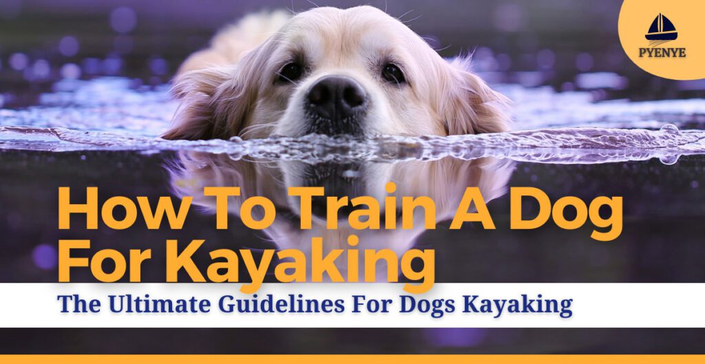 How to train a dog for kayaking; dogs kayaking; kayaking with a dog; dogs traning for kayaking