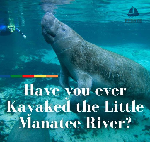 Little Manatee River Kayaking, Rivers In The United States; River Kayaking; kayaking in the rivers, kayak in the little Manatee, Little Manatee River