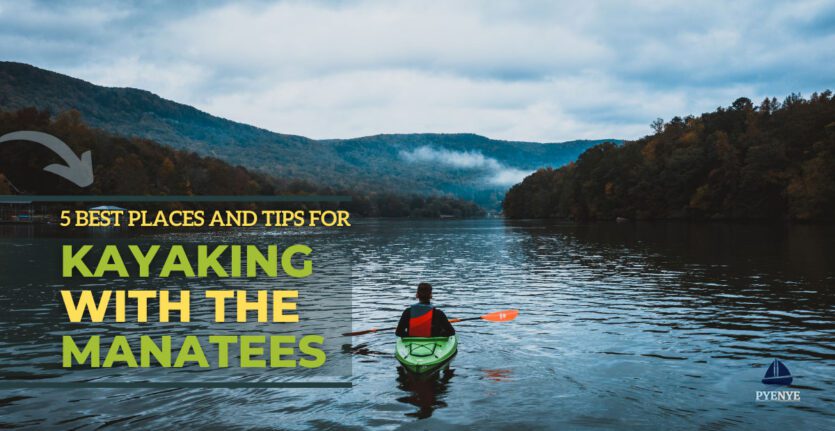 Read more about the article The Best Places And Tips For Kayaking With Manatees