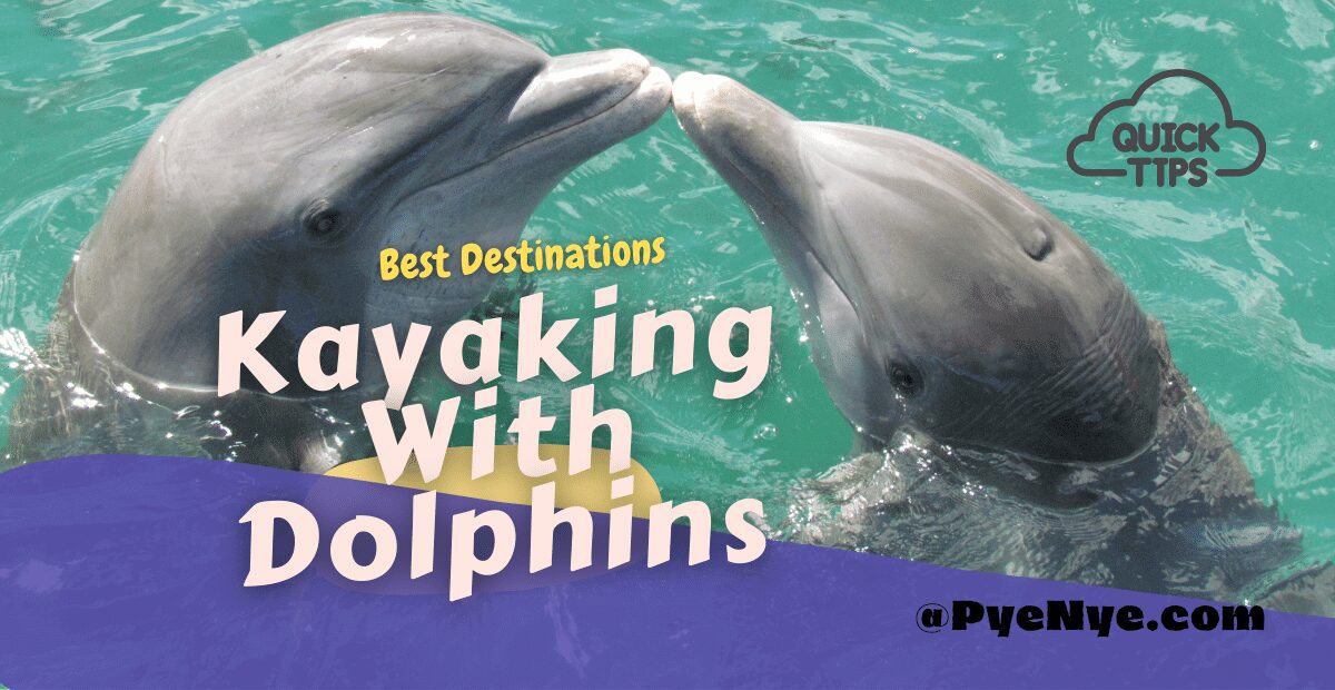 Kayaking With Dolphins