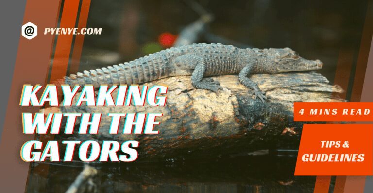 Kayaking With The Alligators