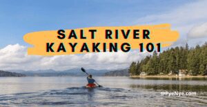 Read more about the article Fishing And Kayaking In The Salt River With Guidelines