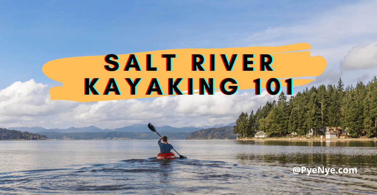 Fishing And Kayaking In The Salt River With Guidelines