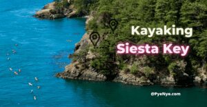 Read more about the article Siesta Key Kayaking Is Forever Amazing