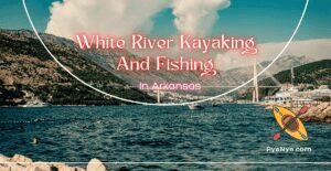 Read more about the article White River Kayaking And Fishing In Arkansas