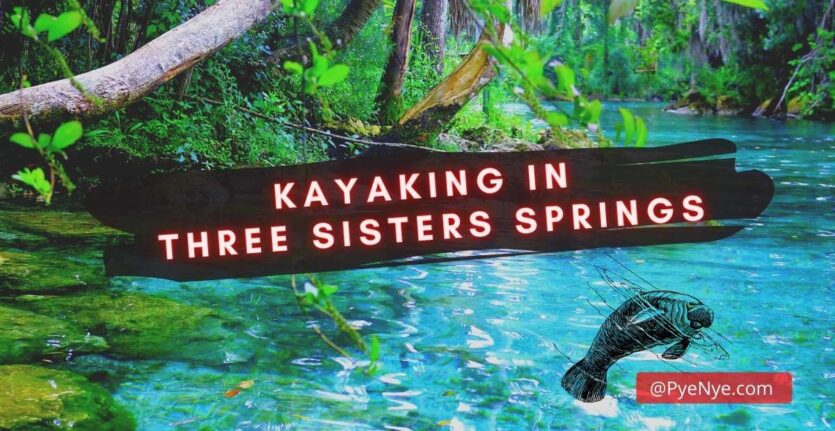 Kayaking In Three Sisters Springs