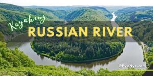 Russian River Kayaking