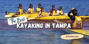 All The Best Places For Kayaking In Tampa