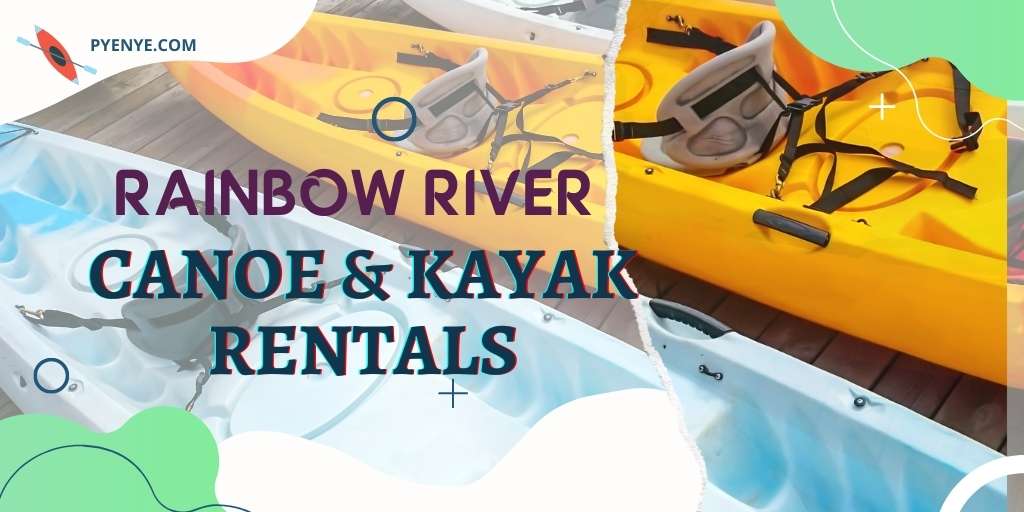 The 8 Best Canoe And Kayak Rentals At Rainbow River