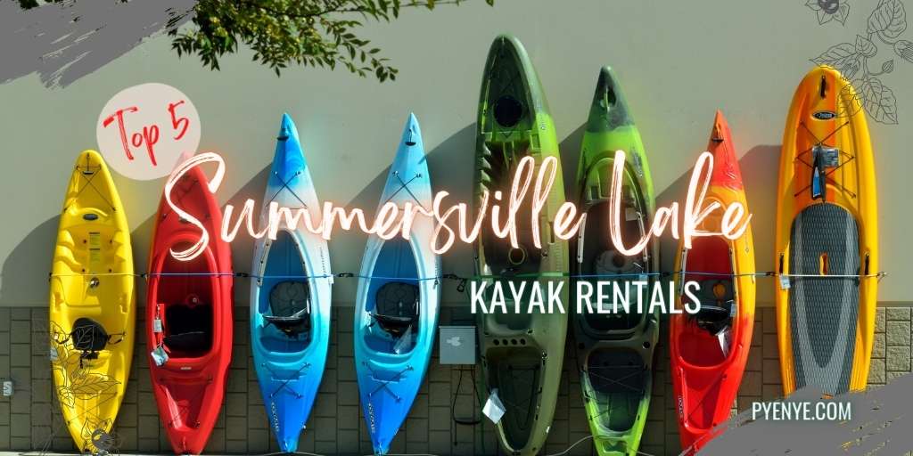 Top 5 Kayak Rentals In Summersville Lake, West Virginia