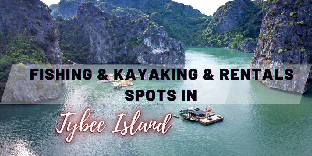 Kayak Rentals At Tybee Island And Kayaking Destinations