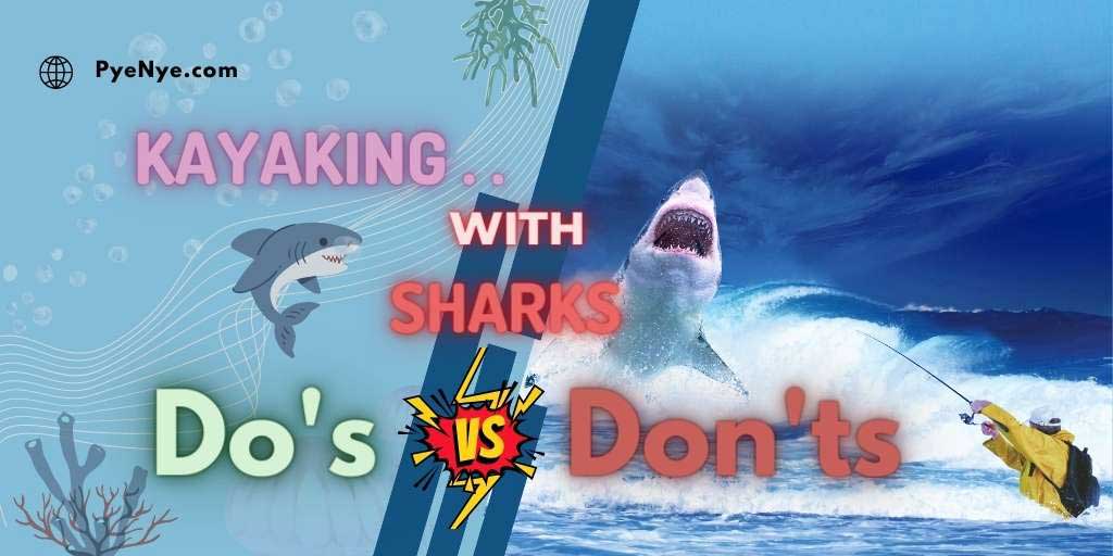 Do’s And Don’ts When Kayaking With Sharks