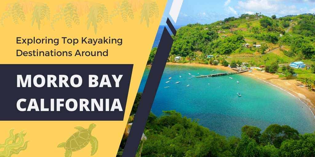 Exploring Kayaking Destinations Around Morro Bay, California