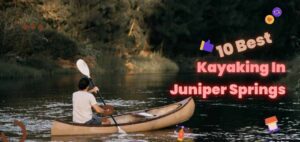 Read more about the article All The Best Kayaking Destinations Near Juniper Springs, Florida