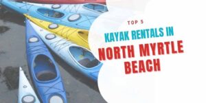 Read more about the article Top 5 Kayak Rentals In North Myrtle Beach, SC
