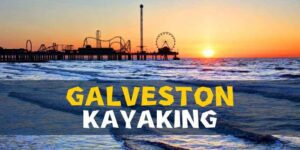Read more about the article Get Out And Explore Galveston By Kayaking