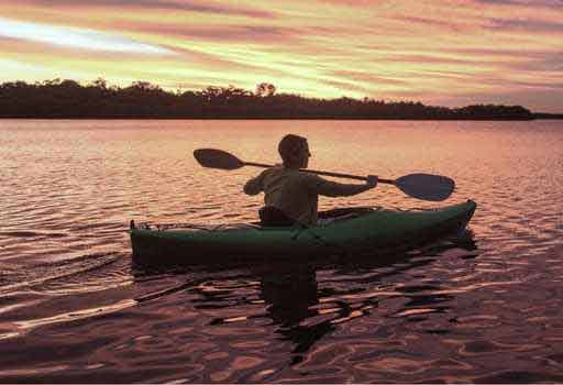  Proper Technique for Paddling a Kayak
