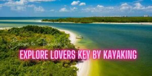 Read more about the article Escape to Paradise and Explore Lovers Key By Kayaking