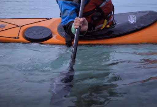  Proper Technique for Paddling a Kayak
