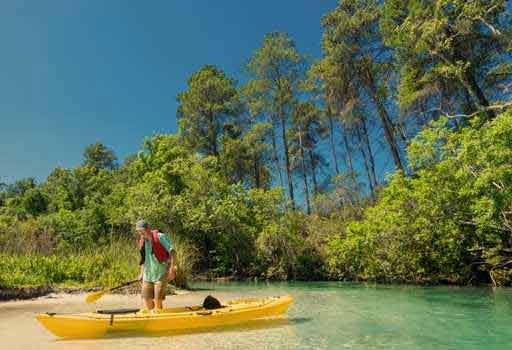  Where to kayak in Florida without alligators, Alligator-free kayaking spots in Florida, Best kayaking places in Florida without alligators, Alligator-free waterways for kayaking in Florida, alligator attacks kayak in Florida, Safe Places to Kayak in Florida, is it safe to kayak in Florida with alligators, is there any place in Florida without alligators
